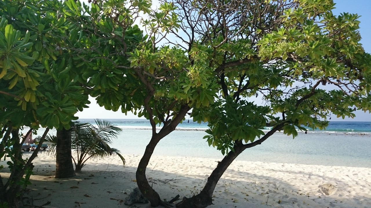 Ausblick von der Veranda O-Resort Beach Villen Kuredu Island Resort & Spa