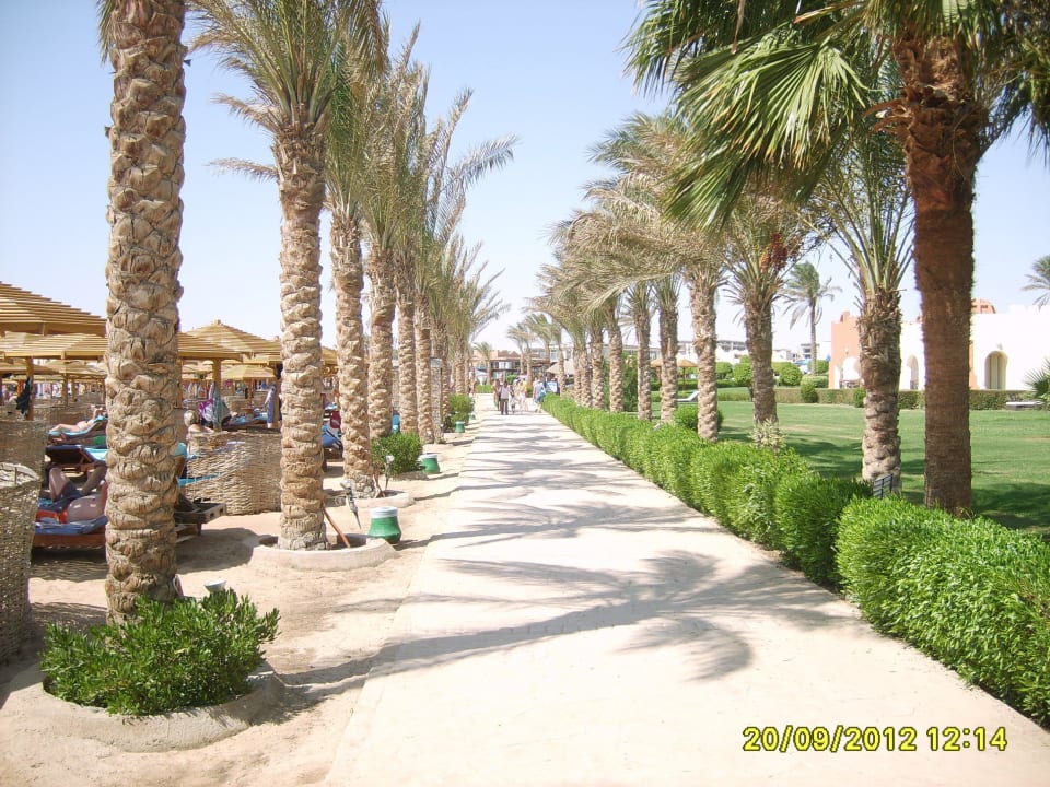 Аллея вдоль пляжа SUNRISE Royal Makadi Resort