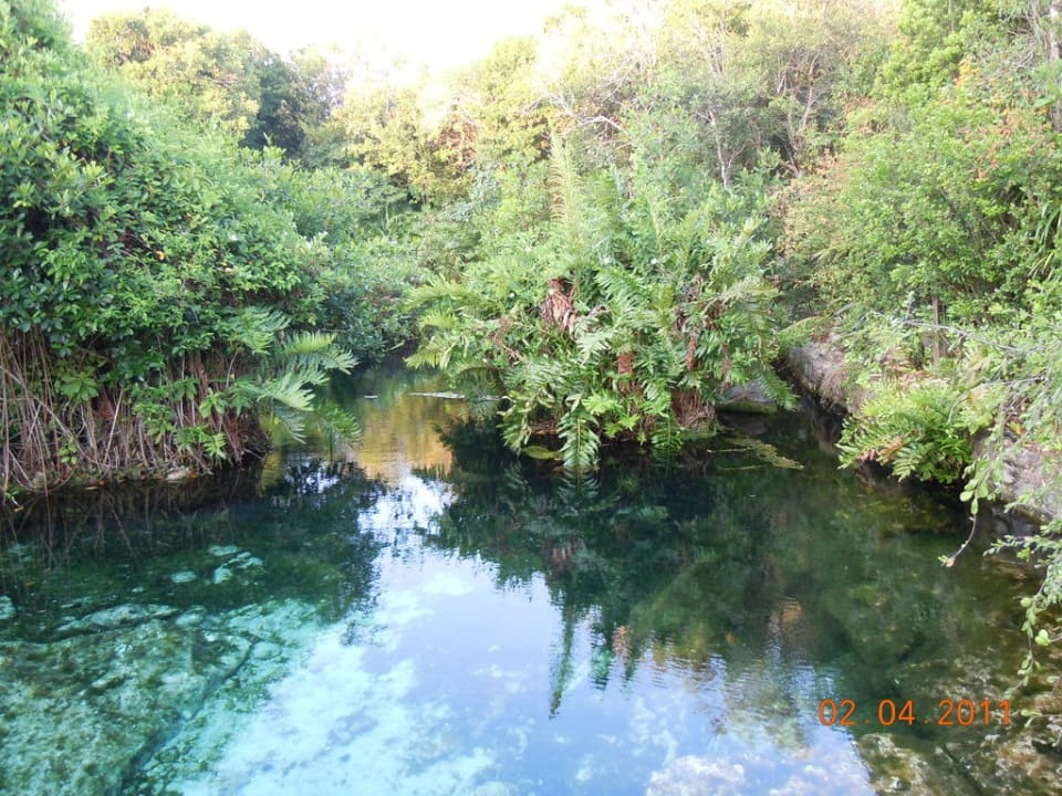 Hauseigener Cenote, einfach wunderschön Catalonia Royal Tulum Beach & Spa Resort - Adults only