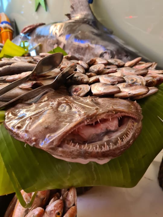 Gastro Seaden Quality Resort & Spa