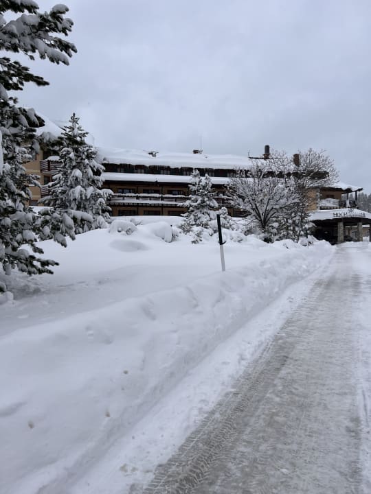 Gartenanlage Hotel Hochschober