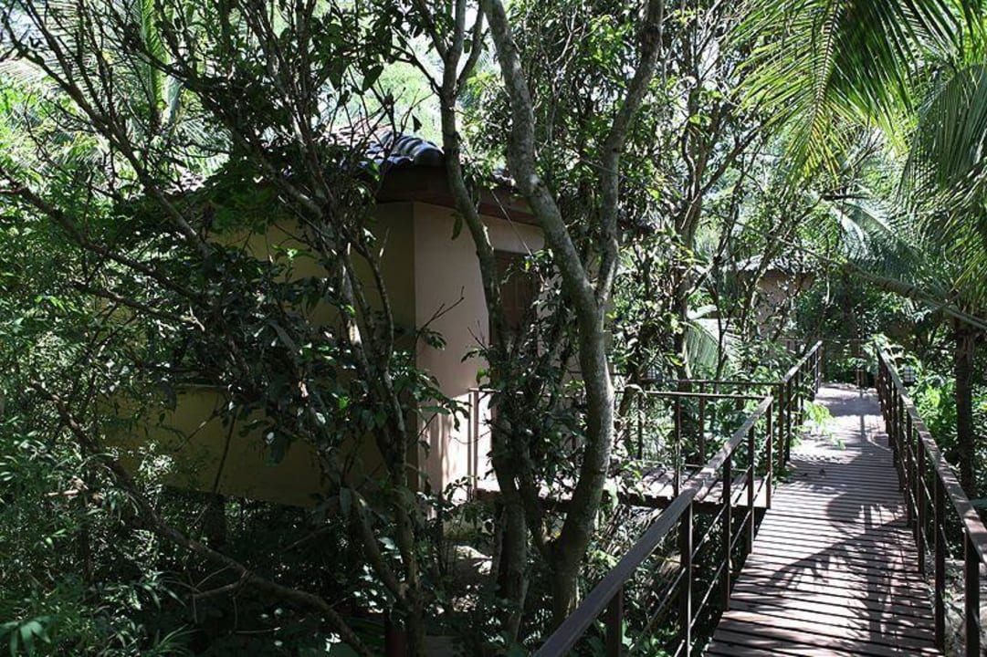 Baumhaus Nr 4 mit Hochweg Adventure Resort Thailand