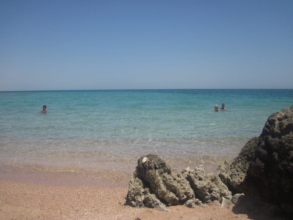 Glasklares Wasser Palm Beach Resort