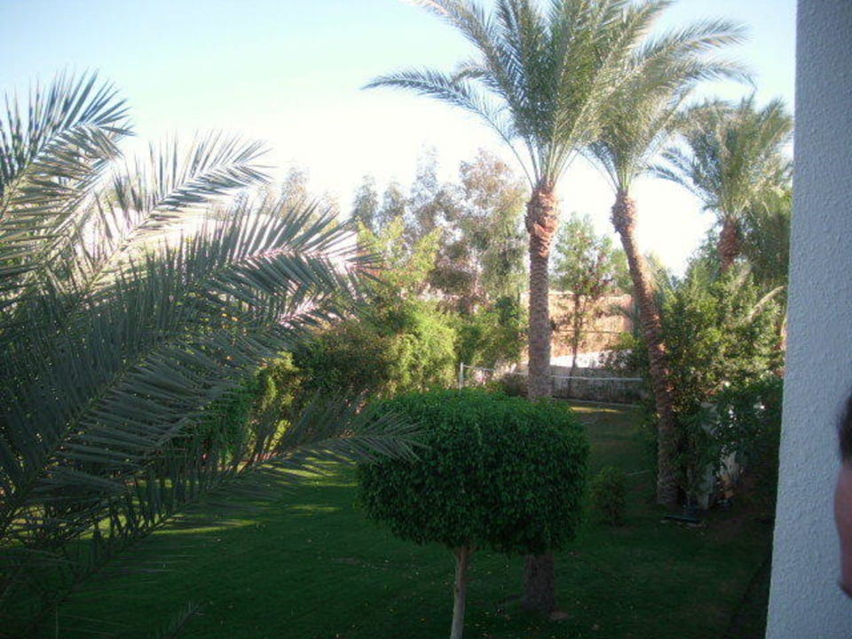 Ausblick vom Balkon Hotel Falcon Hills