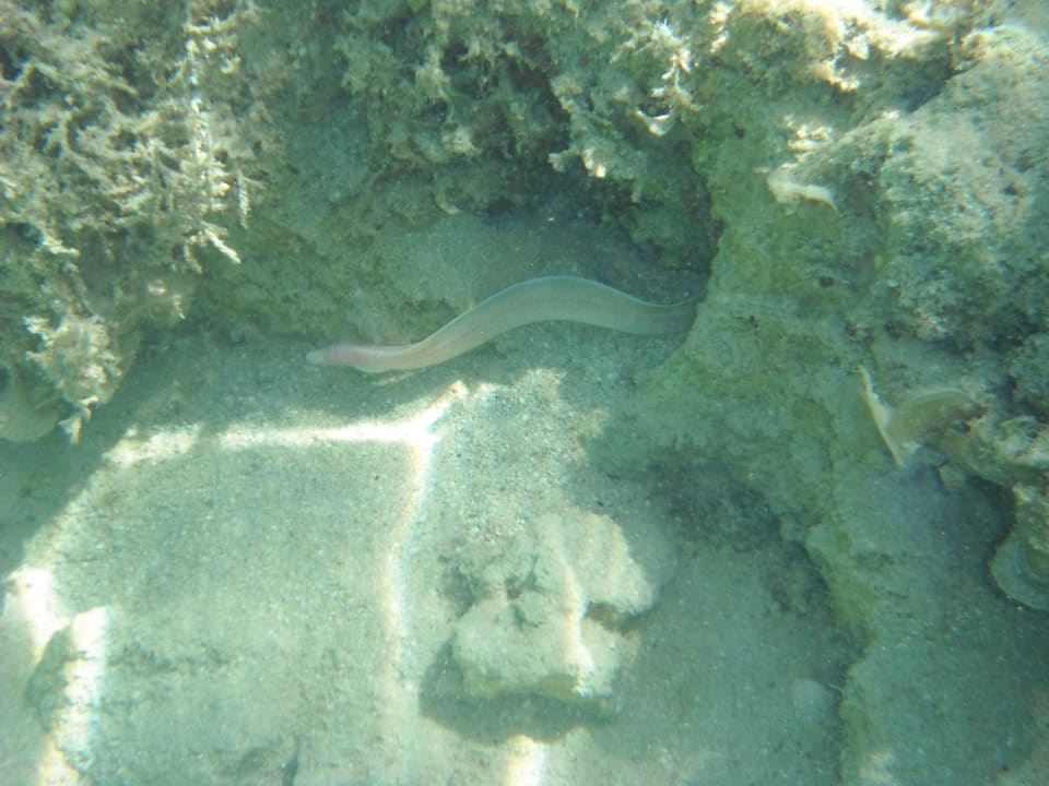 Moräne in der Badewanne Akassia Swiss Resort