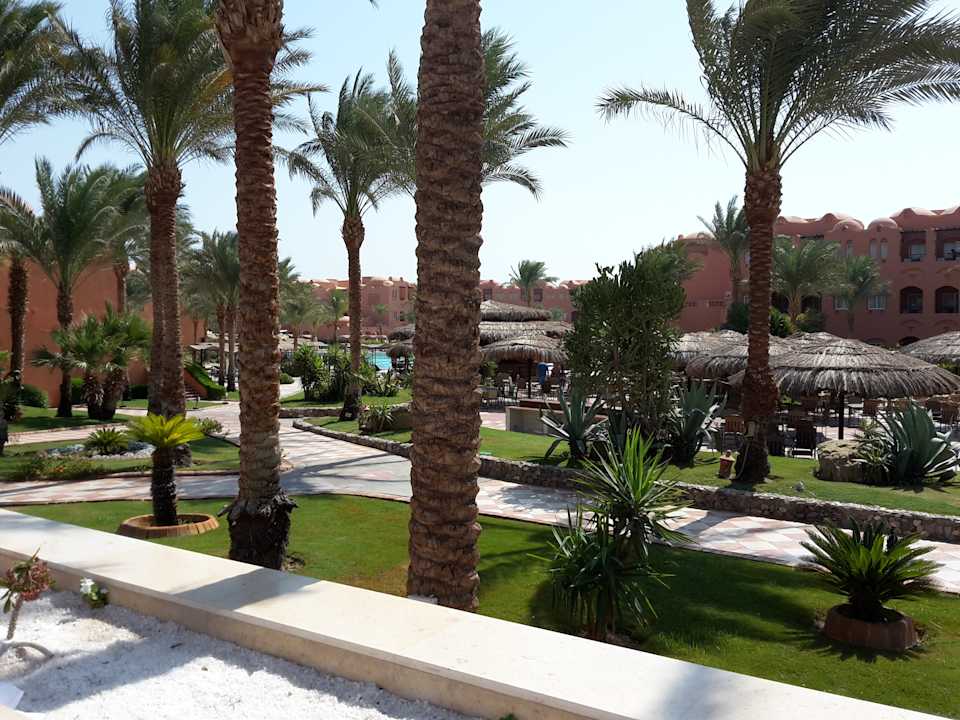 Gartenanlage Jaz Makadi Oasis Resort