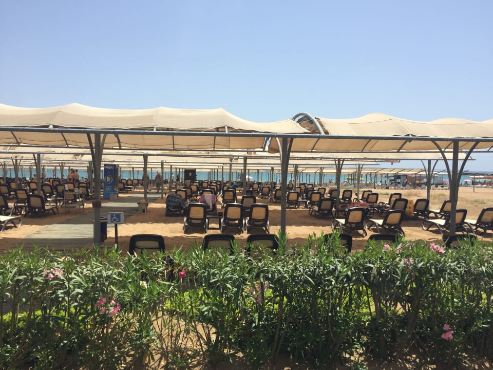 Blick aus der Strandbar/Snackbar  Diamond Excellence Resort & Spa