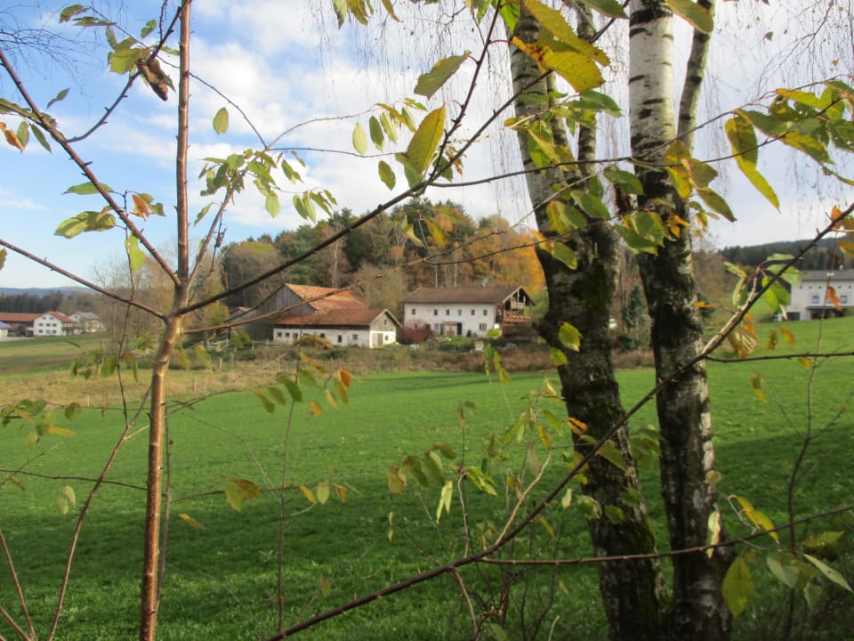 Ausblick Spirit & SPA Hotel Birkenhof am Elfenhain