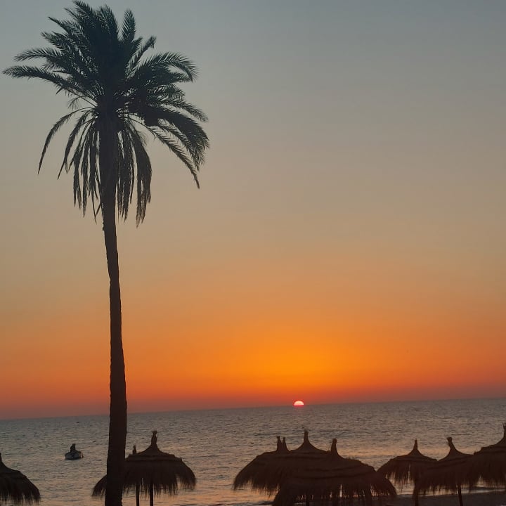 Ausblick Hotel El Mouradi Djerba Menzel