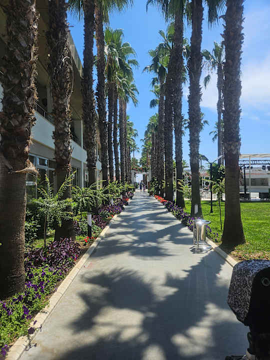 Außenansicht Hotel Royal Garden Beach