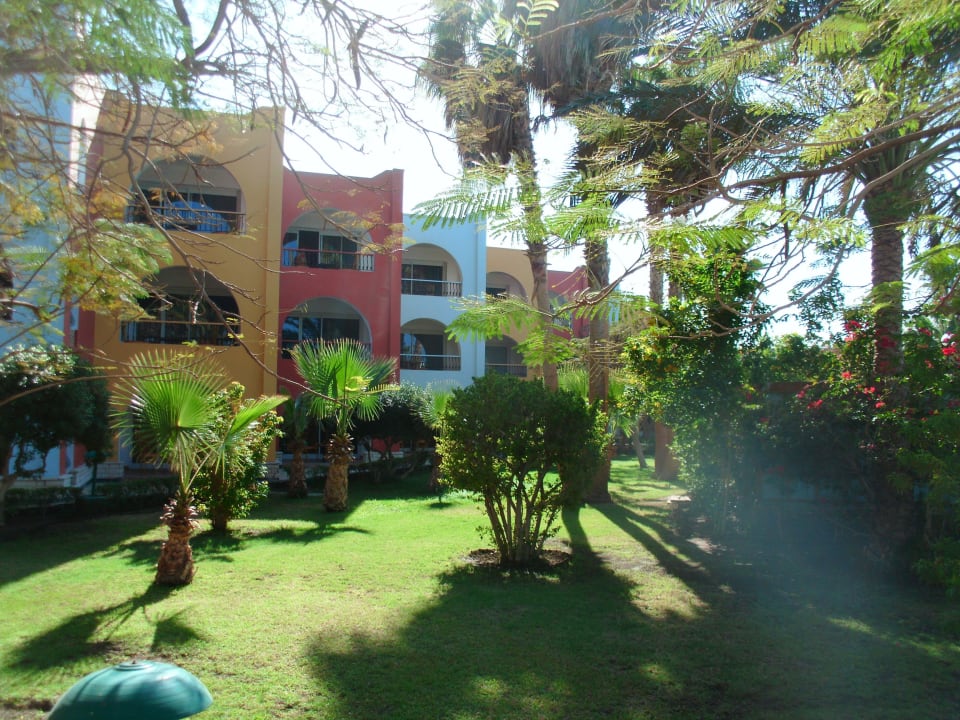 Einfach nur schön Arabia Azur Resort