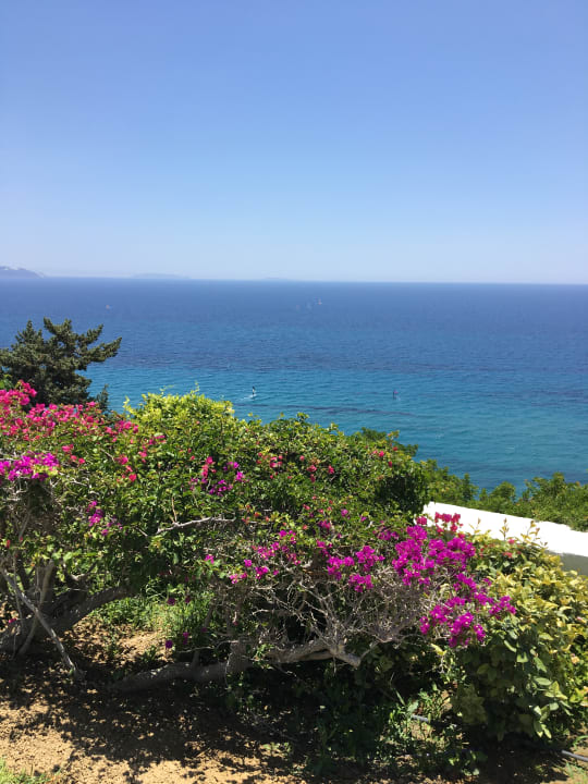 Ausblick ROBINSON DAIDALOS