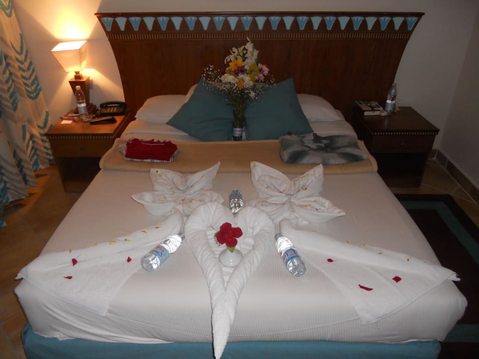 Handtuchkunst Seagull Beach Resort