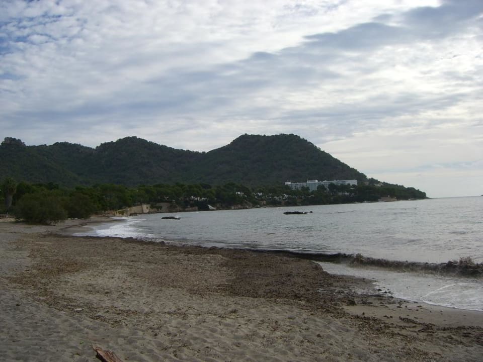 Blick vom öffentlichen Strand auf das Hotel Hipotels Eurotel Punta Rotja Golf & Spa