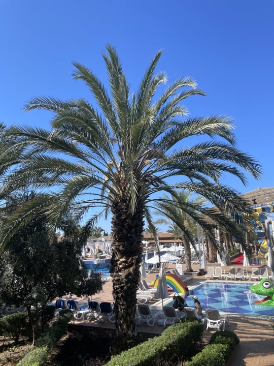 Sport & Freizeit Quattro Beach Spa & Resort