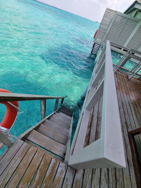 Ausblick Summer Island Maldives