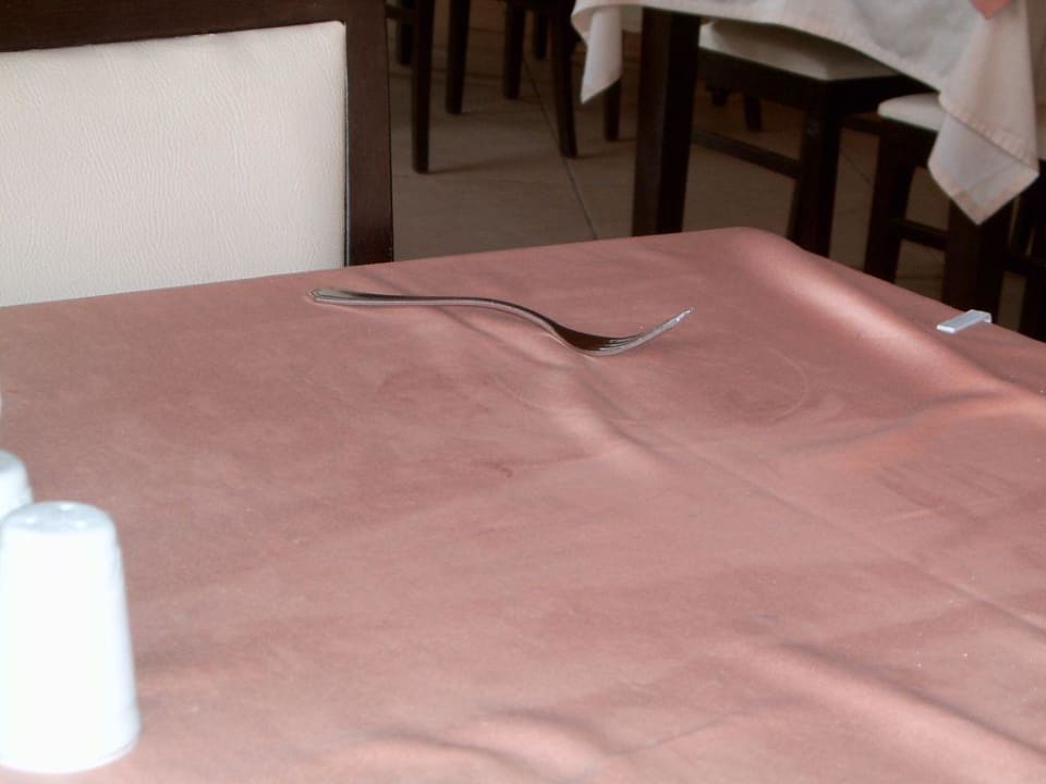 Tischdeckenzustand Hotel Orfeus Park