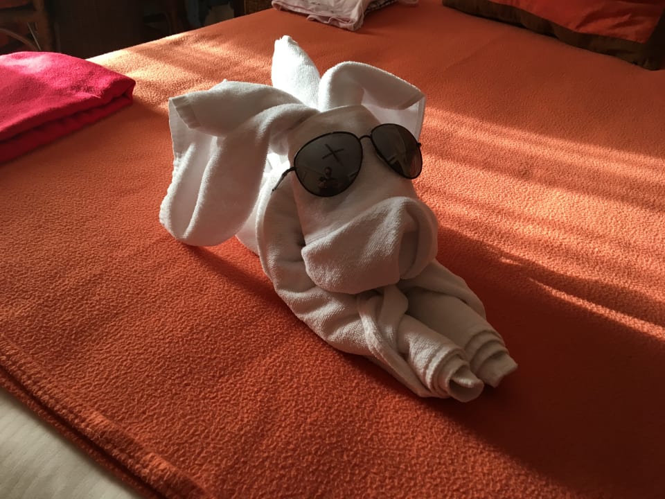 Zimmer Hotel Riu Touareg