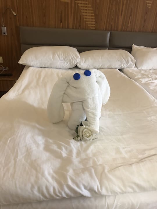 Zimmer PALOMA Perissia