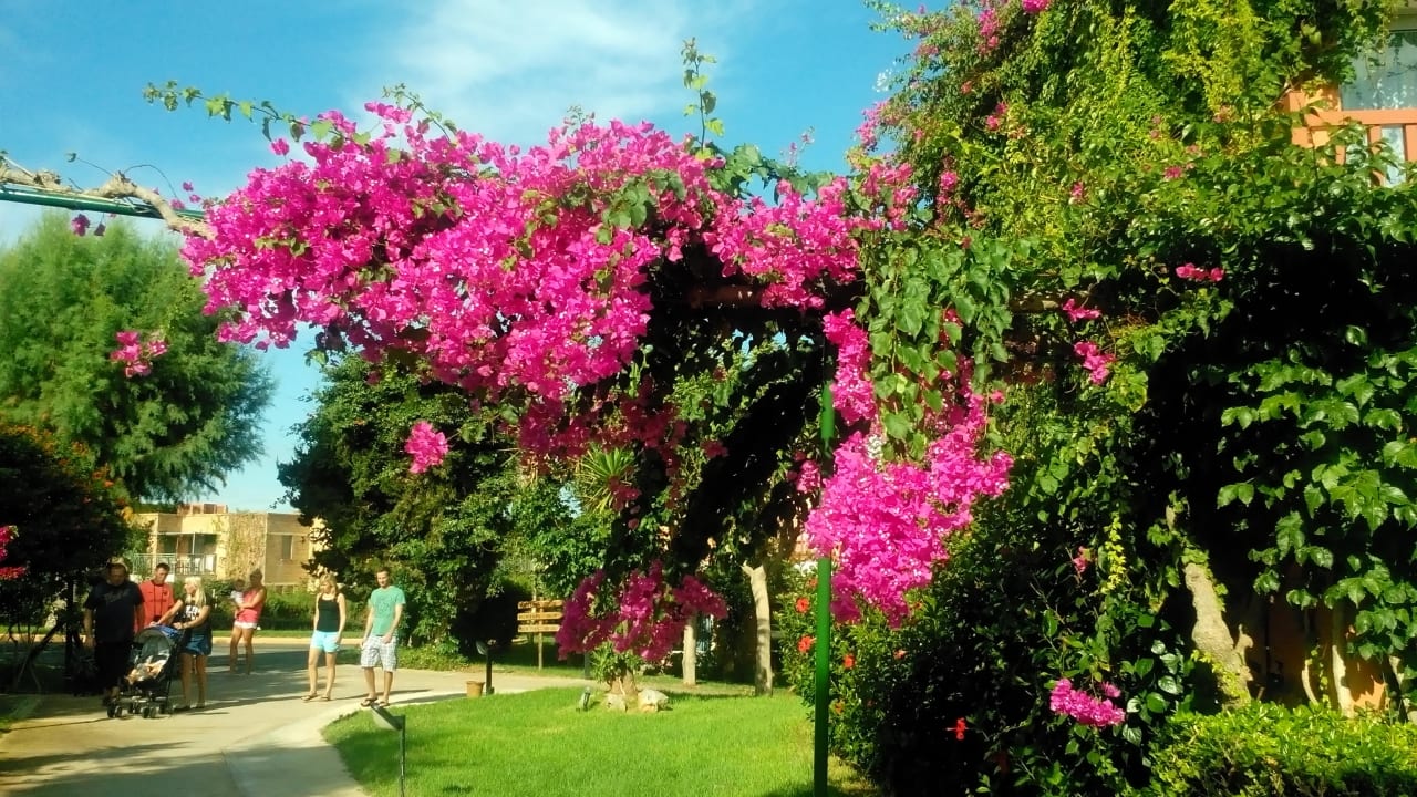 Wunderschön Anissa Beach & Village