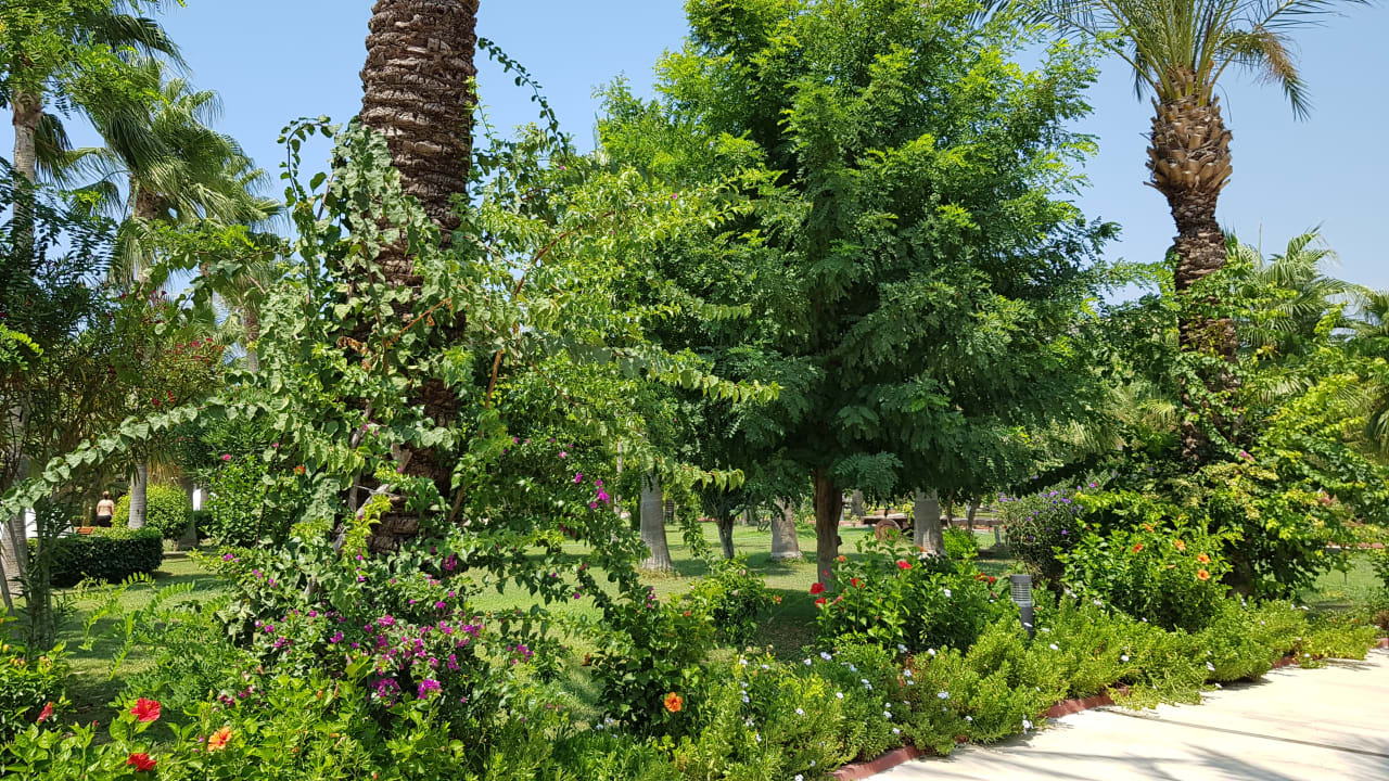 Garten Saphir Resort & Spa