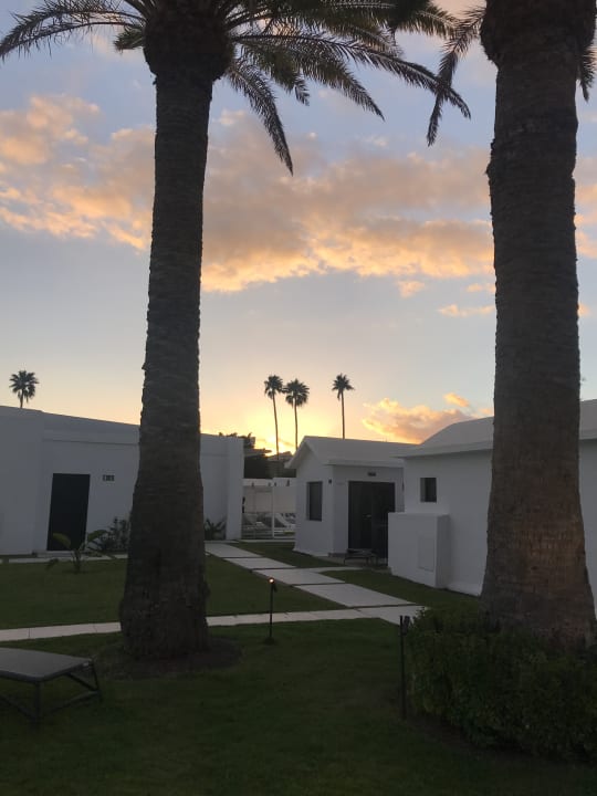 Gartenanlage Club Maspalomas Suites & SPA