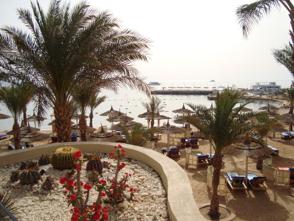 Strand Beach Albatros Resort
