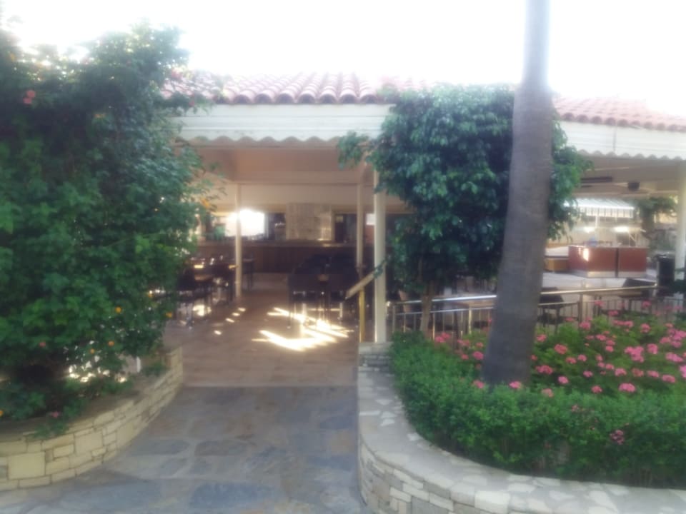 Bar Trendy Side Beach Hotel - Adults only