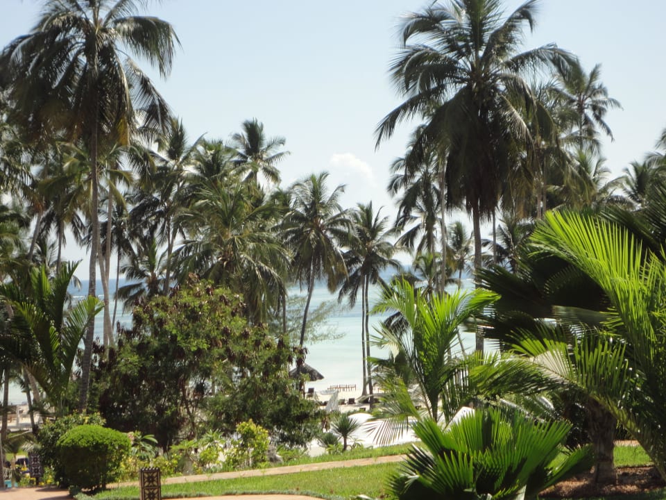 Diamonds Dream of Zanzibar TUI Blue Bahari Zanzibar