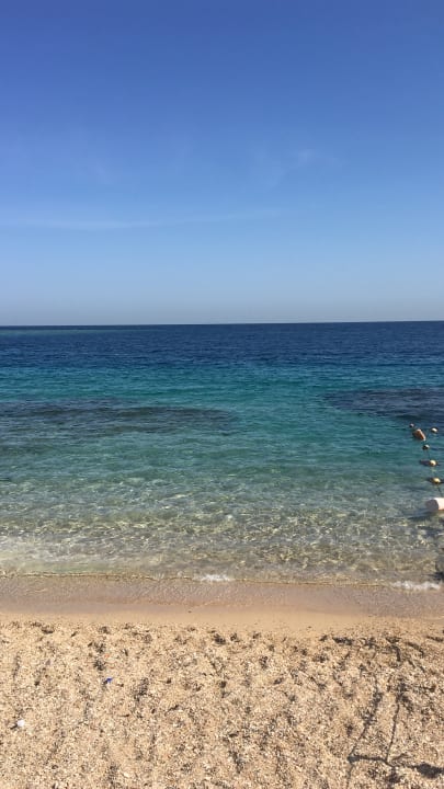 Strand Coral Sun Beach