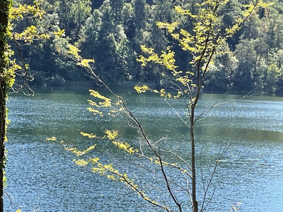Ausblick Gartenhotel Moser