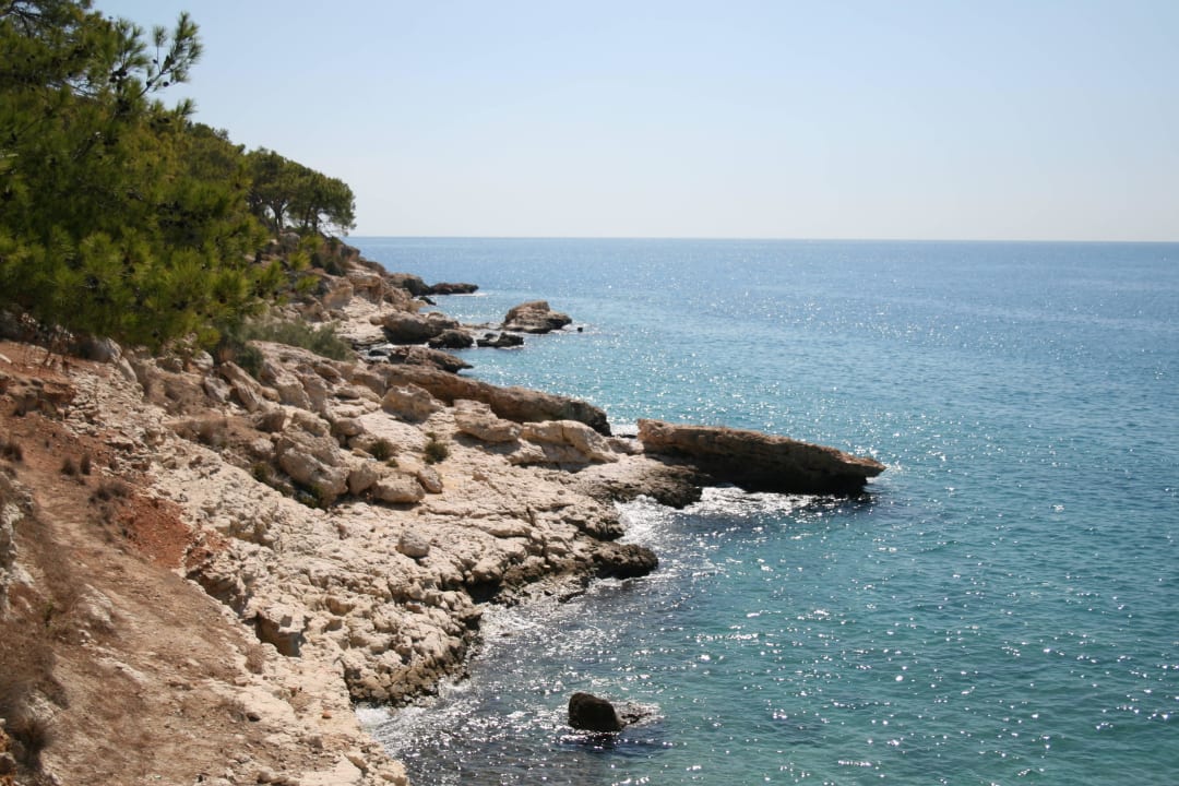 Vom Grillplatz Hotel Peine