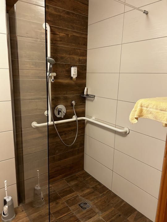 Zimmer Hotel Alphof Alpbach