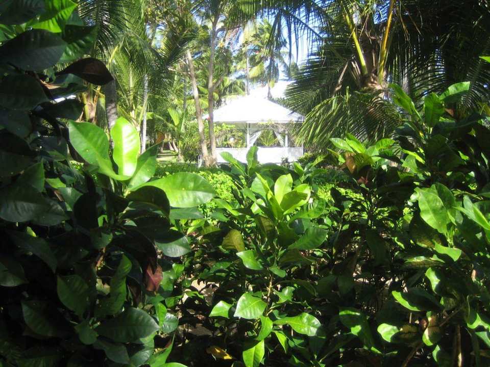 Hotel Grand Palladium Bavaro Resort & Spa Grand Palladium Select Bávaro Resort & Spa