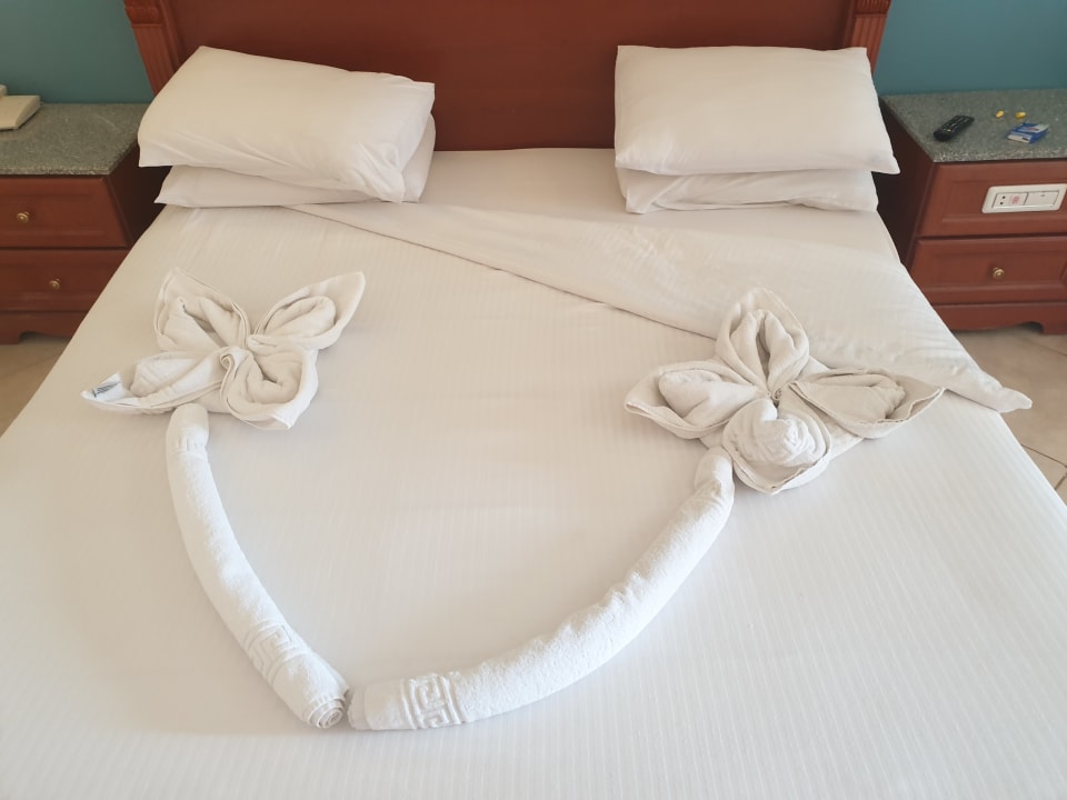 Zimmer Hotel Titanic Palace