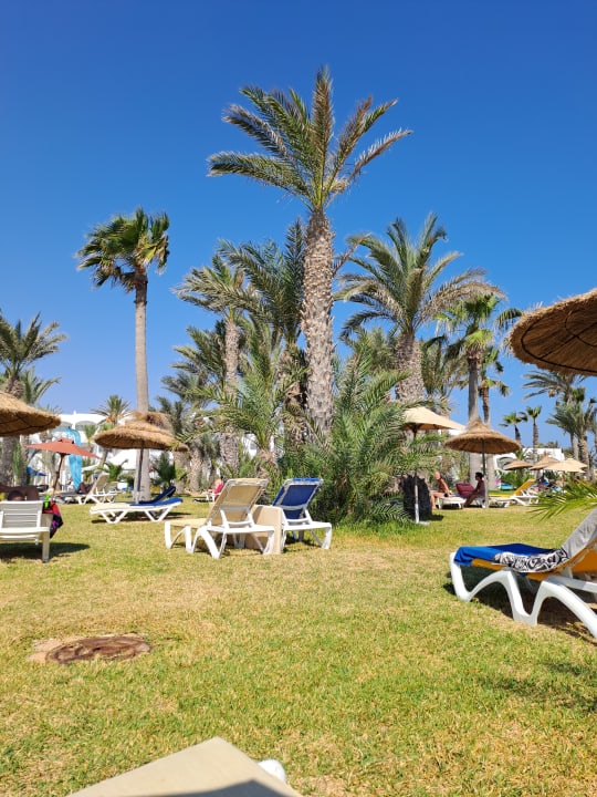 Pool Club Marmara Palm Beach Djerba