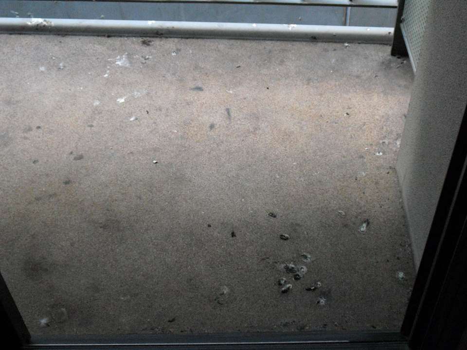 Verschmutzter Balkon, eklig! HarbourView Apartment Hotel