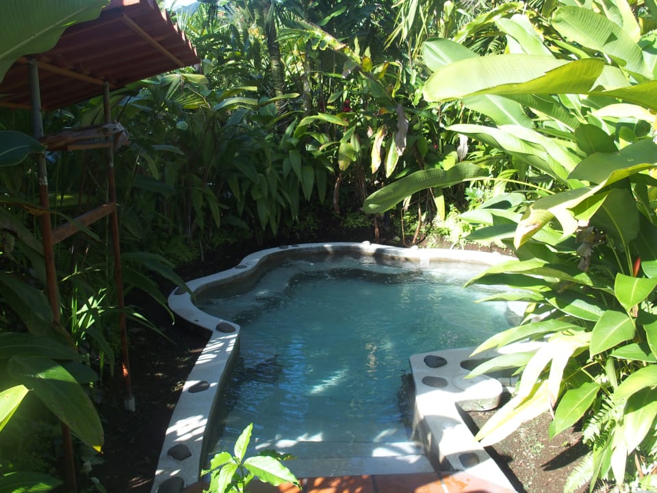 Pool Casa Luna Hotel & Spa