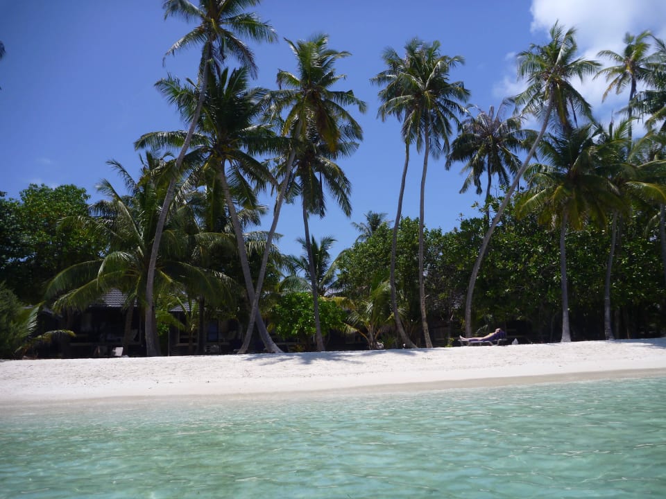 Our beach Kuredu Island Resort & Spa