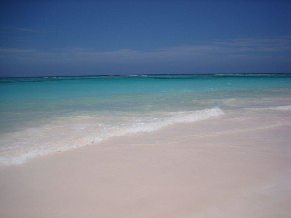 Hotelstrand - Strandbereich Hotel Riu Palace Bavaro