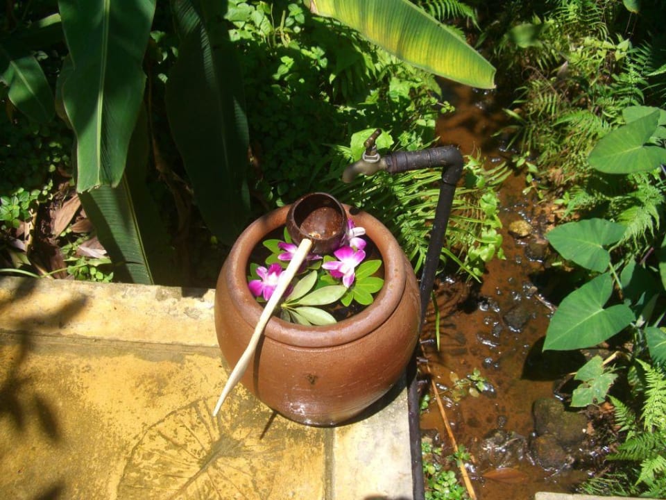 Fuß-Waschanlage vorm Bungi Moracea by Khao Lak Resort