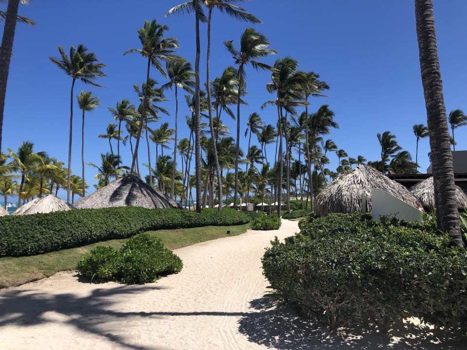 Strand Dreams Royal Beach Punta Cana