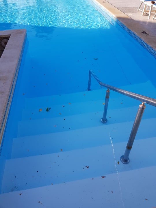 Pool Titanic Royal