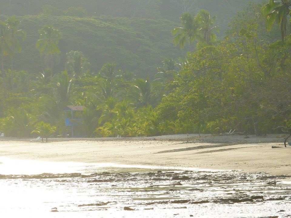 Hausstrand am Morgen Hotel & Club Punta Leona