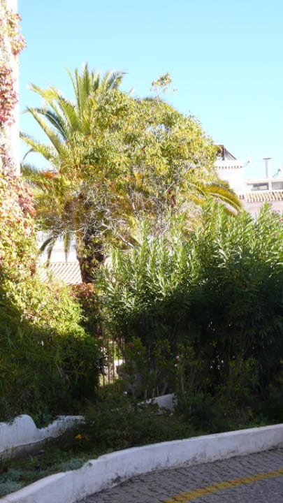 Baum Tivoli Lagos Algarve Resort