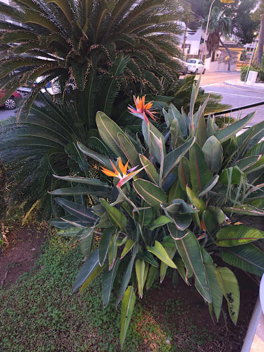 Außenansicht Valentin Somni Hotel & Suites