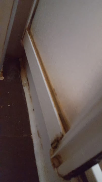 Schmutz und Schimmel in der Dusche. Hotel Aslan City Kleopatra