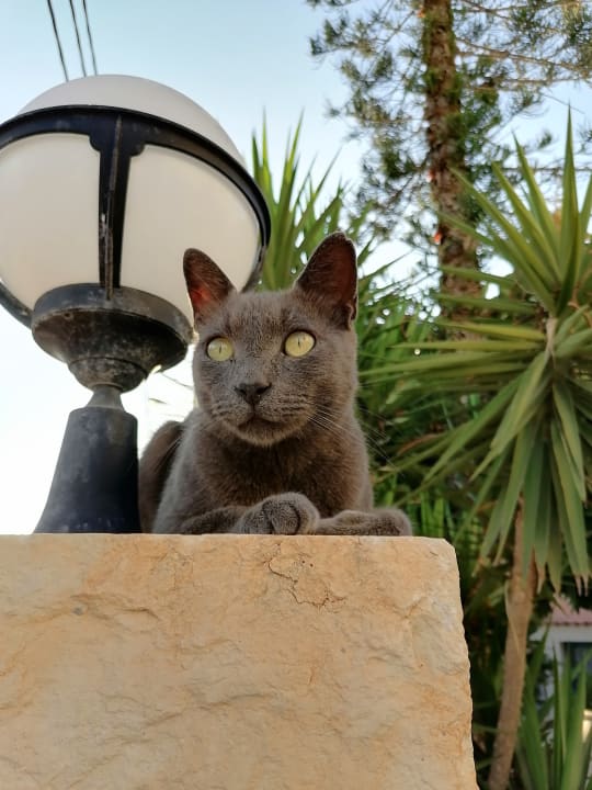 Sonstiges Castello Village Resort