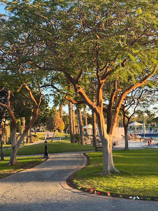 Gartenanlage Steigenberger ALDAU Beach Hotel