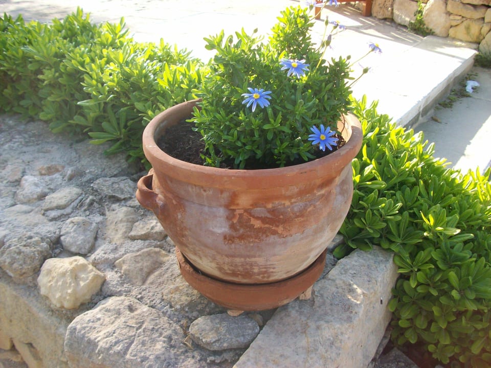 Garten Ta Cenc Hotel